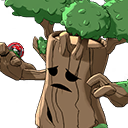Sprout