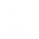 Seed Bomb