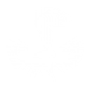 Battle Cry