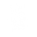 Light Pulse