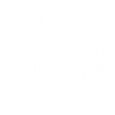 Divine Combat