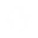 Shield Crush