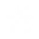 Light Bomber