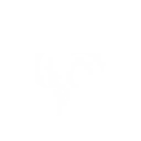 Whirlwind Veil