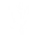 Lightning Divide