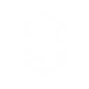 Lightning King's Strike