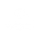 Invasion Field