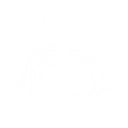 Circle Impact