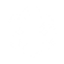 Prism Ray