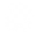 Wall Drop Strike