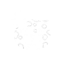 Guardian Shield
