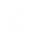 Holy Swarm