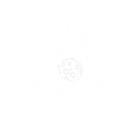 Shining Blaze