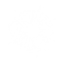 Flash Explosion