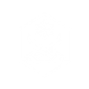 Priestess of Frost