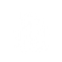 Dark Slash