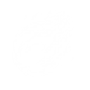 Celestial Collapse