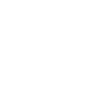 Electromagnetic Field