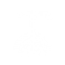 Plasma Dome: Overload