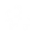 Power Drop