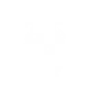 Lion Beam