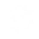 Blessing of the Spirits: Dragon