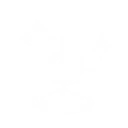 Dual Flame Slash