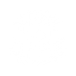Dark Fist