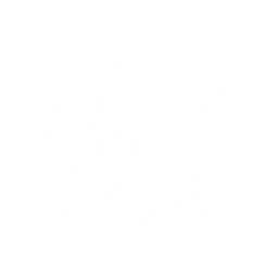 Divine Bayonet