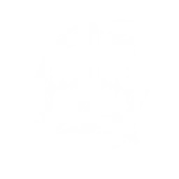 Radiant Slash