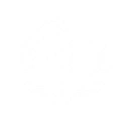Brute Strike
