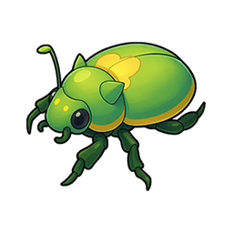 Beetle