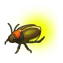 Firefly