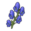 Flower Petals of Immortality