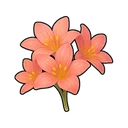 Flower Petals of Pure Love