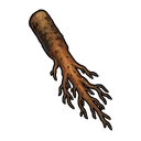 Dandelion Root