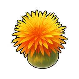 Safflower Seed