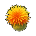 Safflower Seed