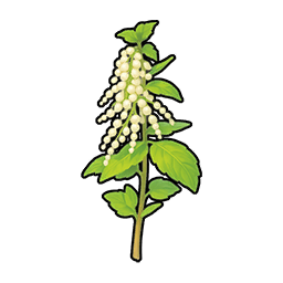 Nettle