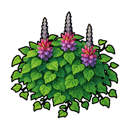 Kudzu Vine
