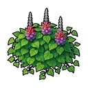 Kudzu Vine