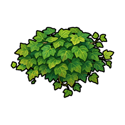 Ivy Vine