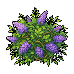 Wisteria Vine