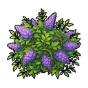 Wisteria Vine