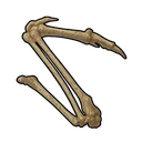 Bird Bone Fragment