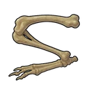 Rabbit Bone Fragment