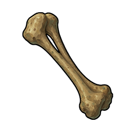 Wolf Bone Fragment