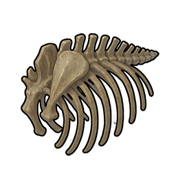 Bison Bone Fragment