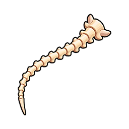 Fox Bone Fragment