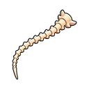 Fox Bone Fragment